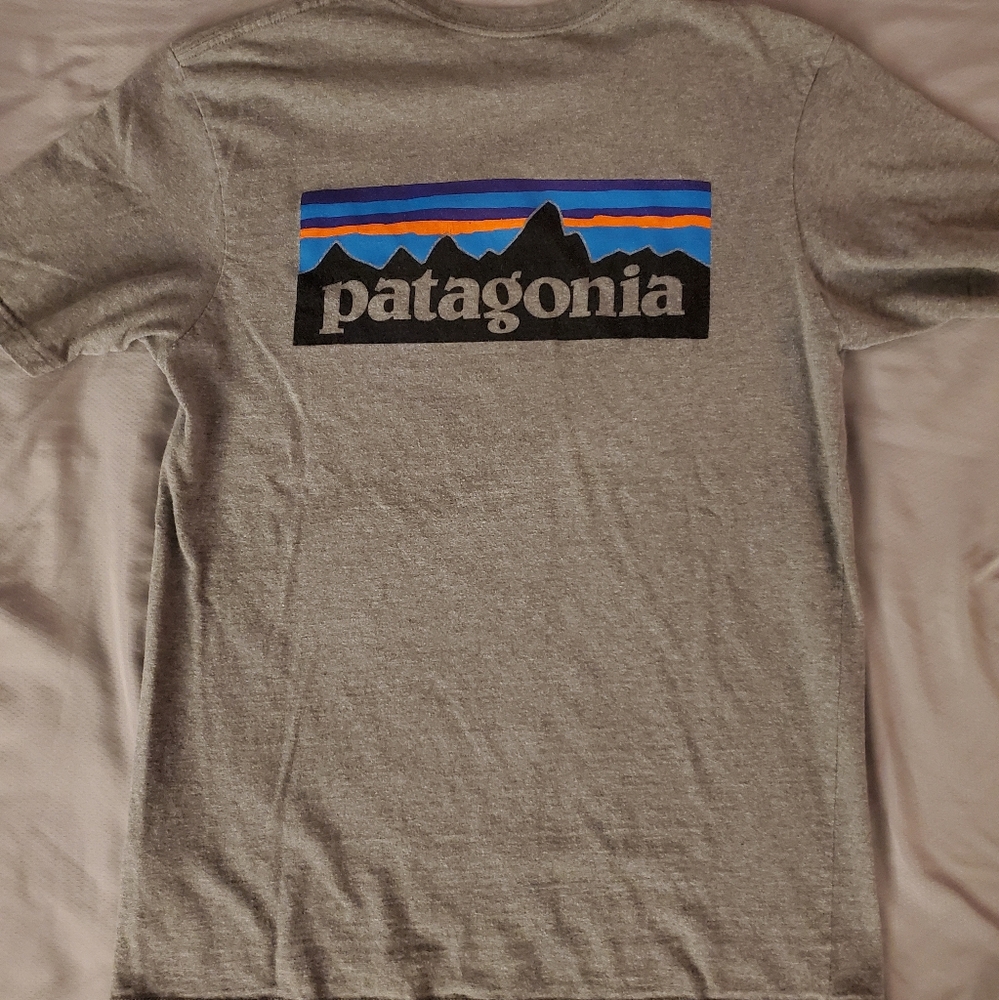 Patagonia Tee